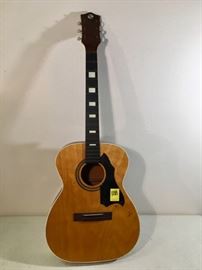 Model 319.12120000 Project Guitar