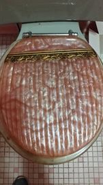 have 2 lucite toilets seats