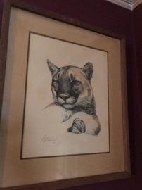 Guy Coheleach - Cougar