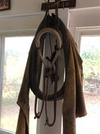 Horse Harness