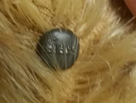 Sorry I can't seem to get the button in focus!