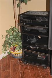 Rack System and Electronics with Potted Plant 
