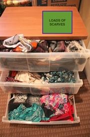 Loads of Scarves and Storage