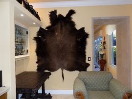 Buffalo Hide
