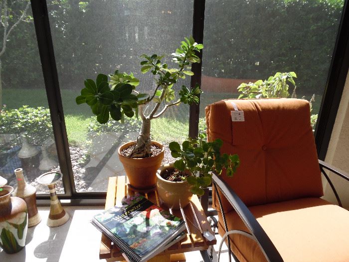 wood side table, live plants