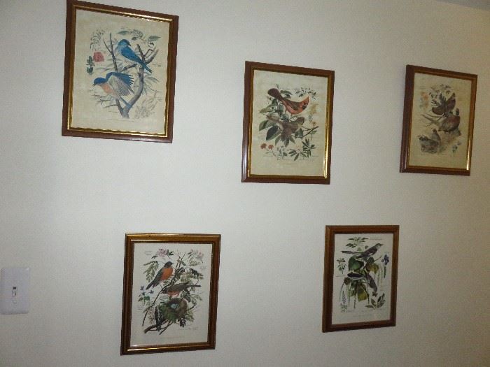 Arthur Singer bird prints (set of 5)