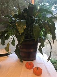 Fabulous old wood and brass bucket