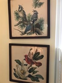 Bird Prints by Peterson.