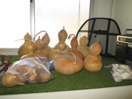Variety of Gourds