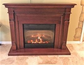 Dimplex Forced Air Heater Fireplace