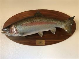 Mounted Fish