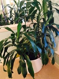 MCM, Gainey, large white planter