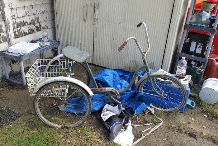 Adult Tricycle Bike Bicycle