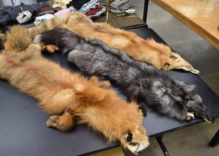 Fox Fur Pelts