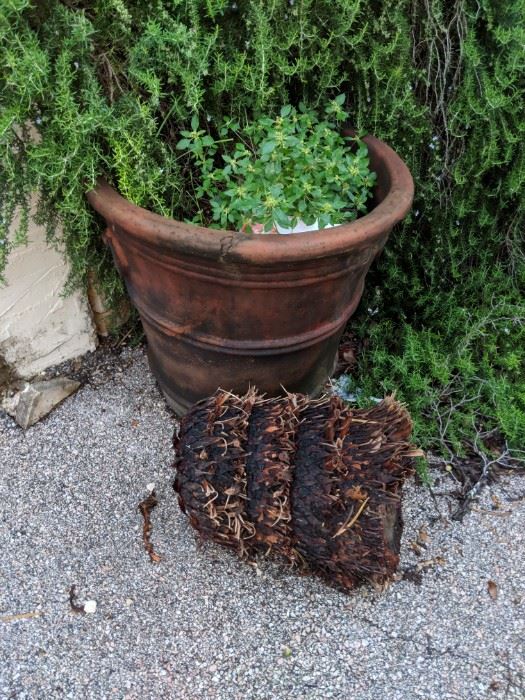 Large clay planter 