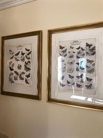 Butterfly Lithographs (John Richardson Designs) 