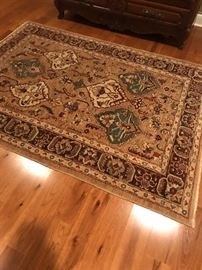 Hand Knotted Rug,  4 x 6