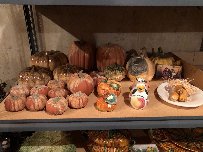Pumpkins Galore 