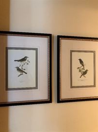 Pair Framed Bird Prints 