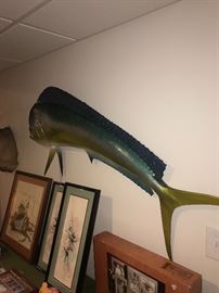 LARGE MAHI MAHI TUNA FISH WALL DECORATION
