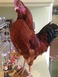 Rooster - perfect for a French Country kitchen