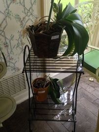 Small 2 -tier plant stand