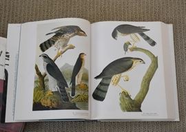 Audubon's Birds of America Book