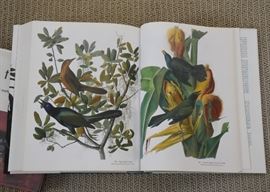 Audubon's Birds of America Book