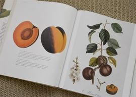 Fruit Illustrated Book