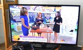 LG 43" FLAT PANEL TV