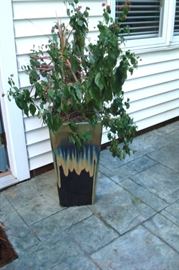 One of a pair vases with plants.