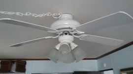 Ceiling Fan