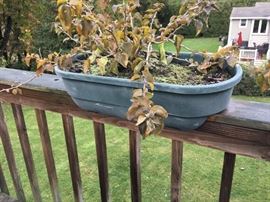 deck rail planters