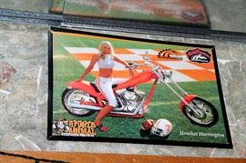Heather Harrington UT framed poster