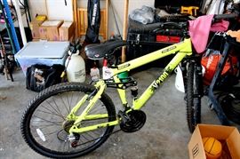 Genesis mountain bike