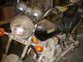 CLOSE UP OF YOUR LATEST TREASURE TO TAKE HOME