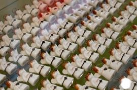 These sweet little angels have names written on them...We've grouped them by letter to help you find what you're looking for:)