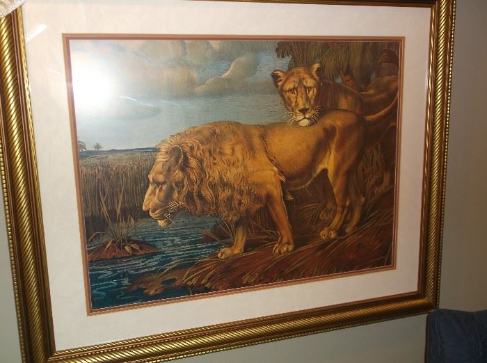 Lion and lioness print
