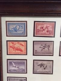 some of the older duck stamps framed with the Don Edwards print