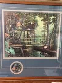 John Akers ducks print