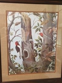 Don Edwards woodpeckers print