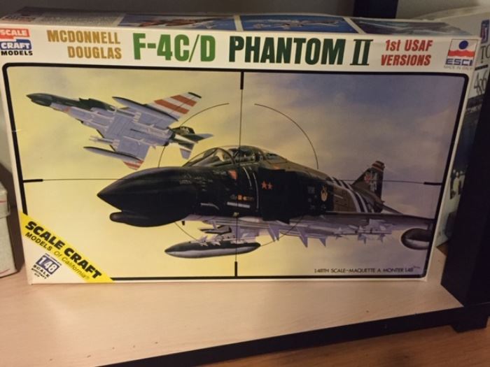 D Phantom model