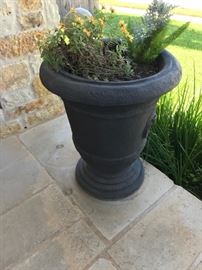 Huge Planter
