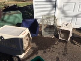 pet crates