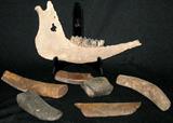 Lot #163:  Lot Contains 7 Pieces Petrified Bone Inc. Jaw w/5 Teeth, 2.75" To 13"L.