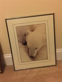 Polar Bear Framed Art