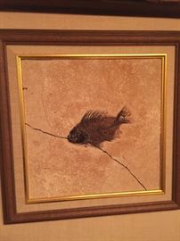 Fossil Fish.....