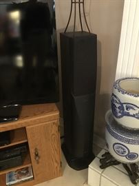 SAV-VA speakers (2)