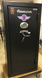 Newer Sentry Gun Safe