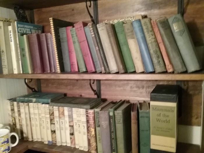 Collection of old books 